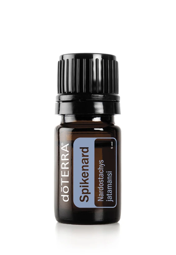 Spikenard (Nardus)
