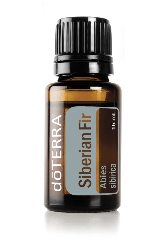 Siberian Fir (Siberische Spar)
