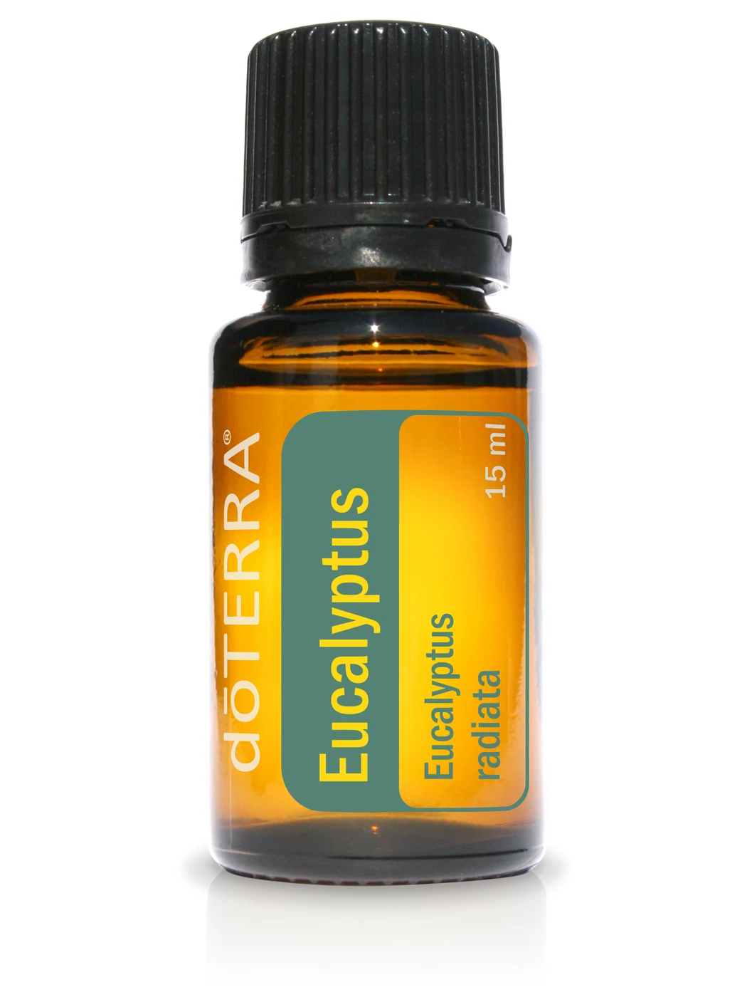 Eucalyptus etherische olie