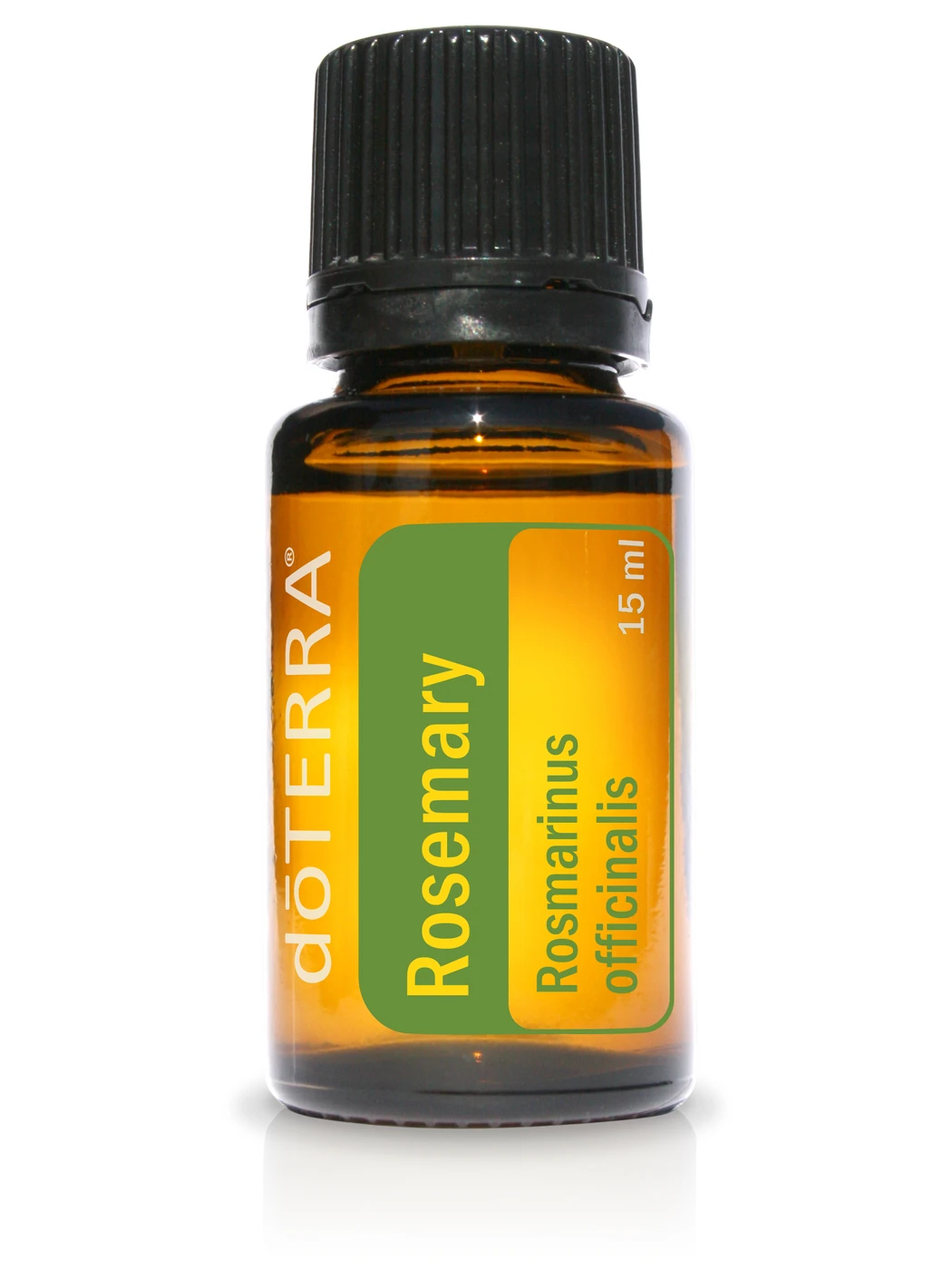 Rosemary (Rozemarijn)