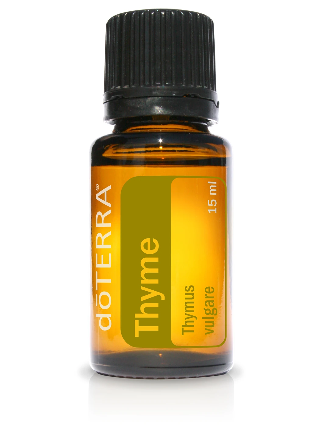 Thyme (Tijm)
